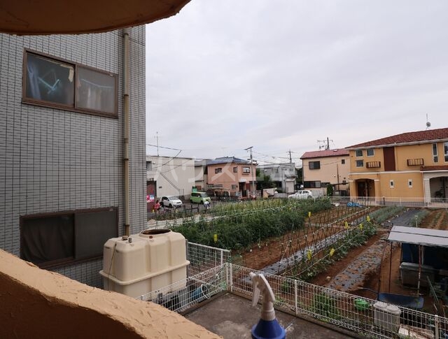 19/26 その他画像