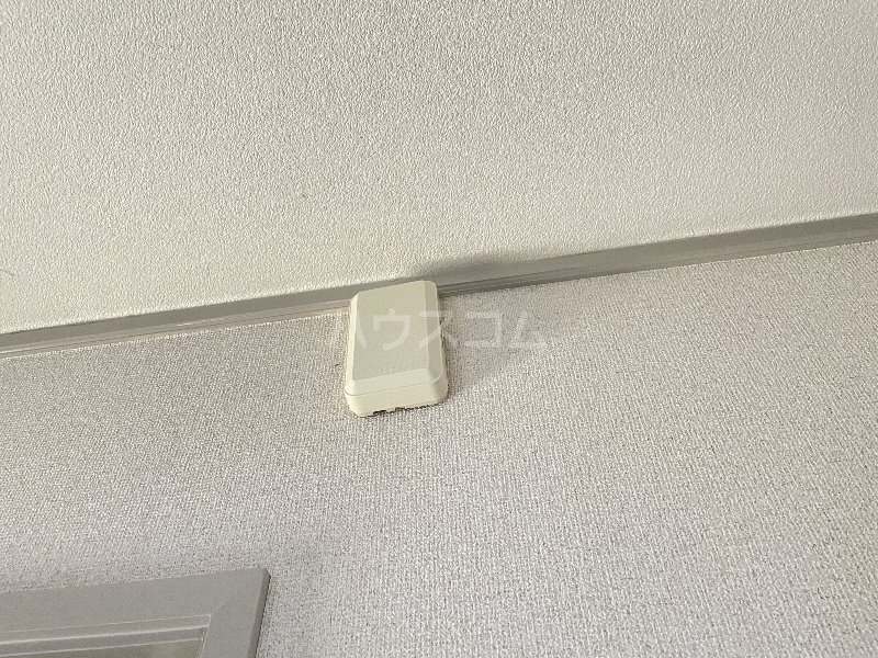 17/24 その他画像