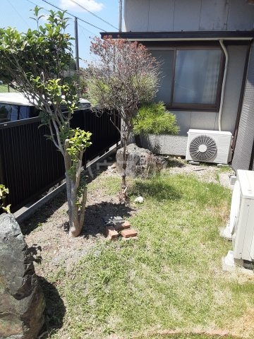 25/30 その他画像