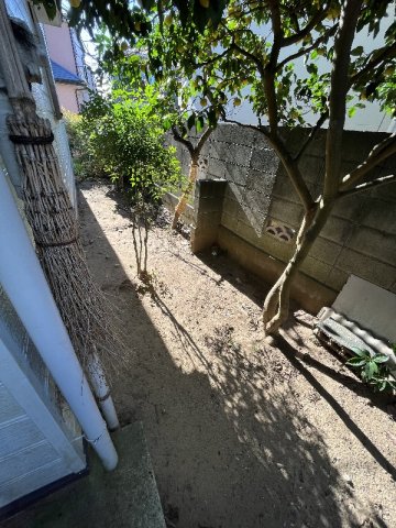 26/30 その他画像