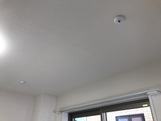 21/24 その他画像