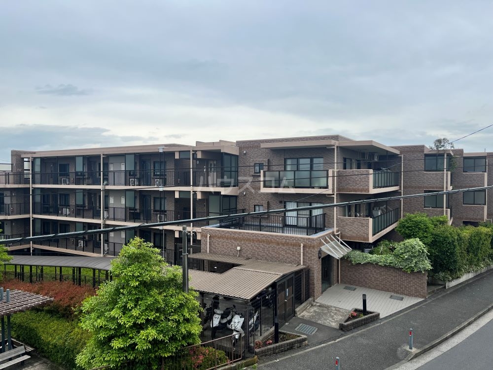 24/29 その他画像