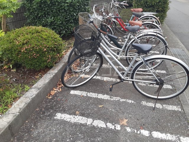 15/25 その他画像