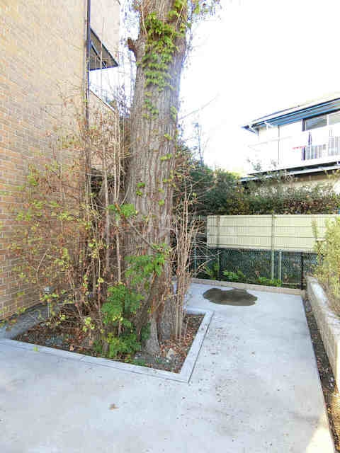 16/21 その他画像