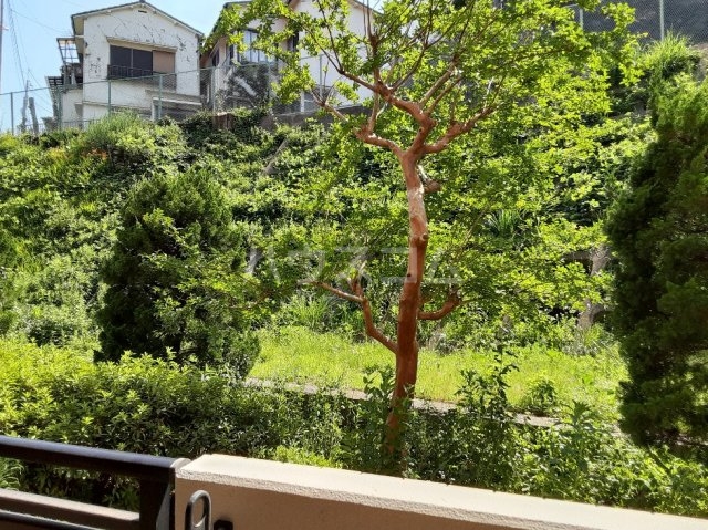 11/23 その他画像