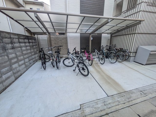 20/30 その他画像