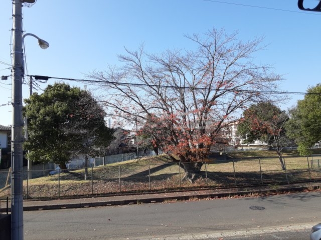 19/30 その他画像