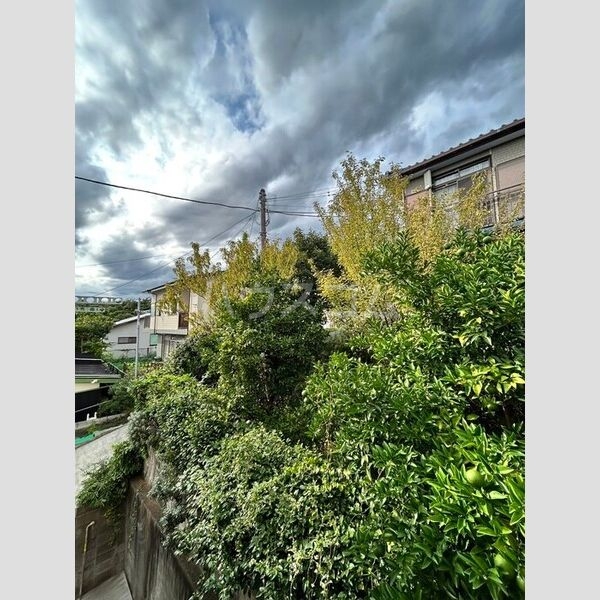 12/25 その他画像