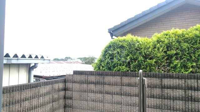 15/26 その他画像