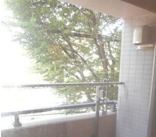 15/19 その他画像