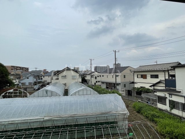 17/29 その他画像