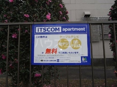 13/19 その他画像