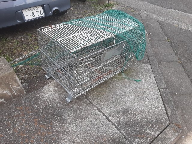 17/28 その他画像