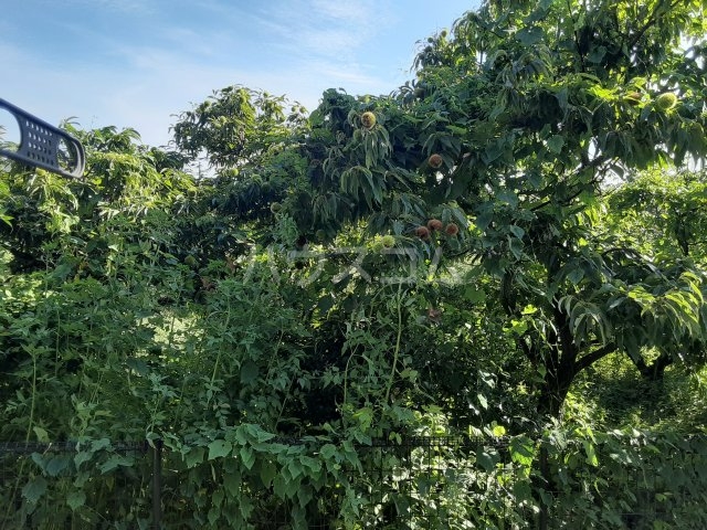 19/24 その他画像