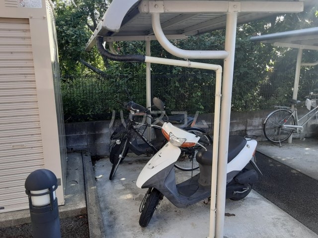 21/24 その他画像