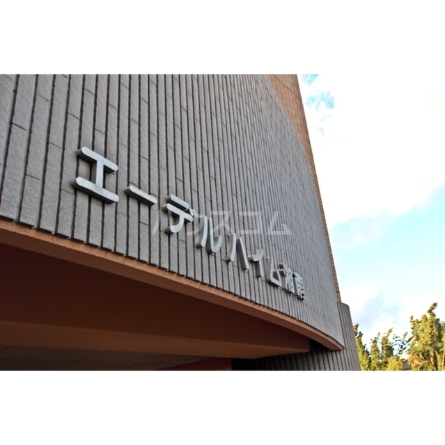 19/30 その他画像