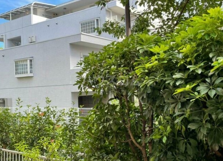 12/24 その他画像