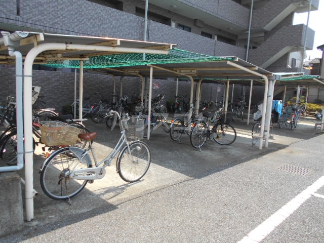 20/30 その他画像