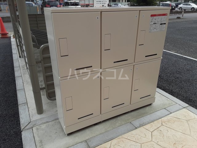20/30 その他画像