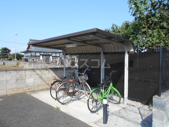 17/29 その他画像