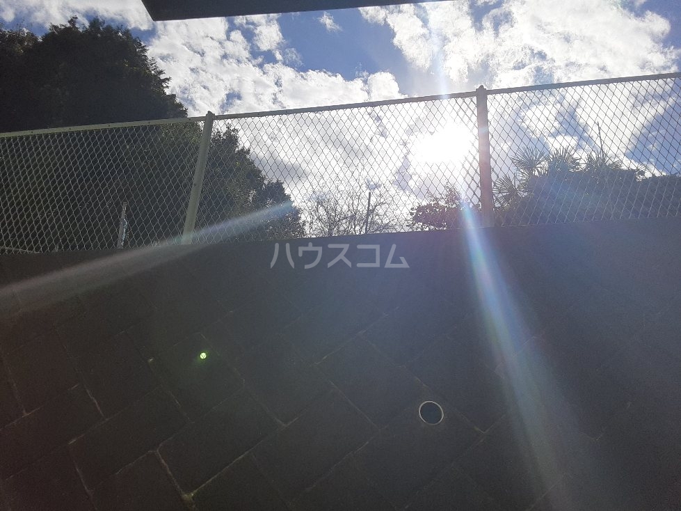 25/29 その他画像