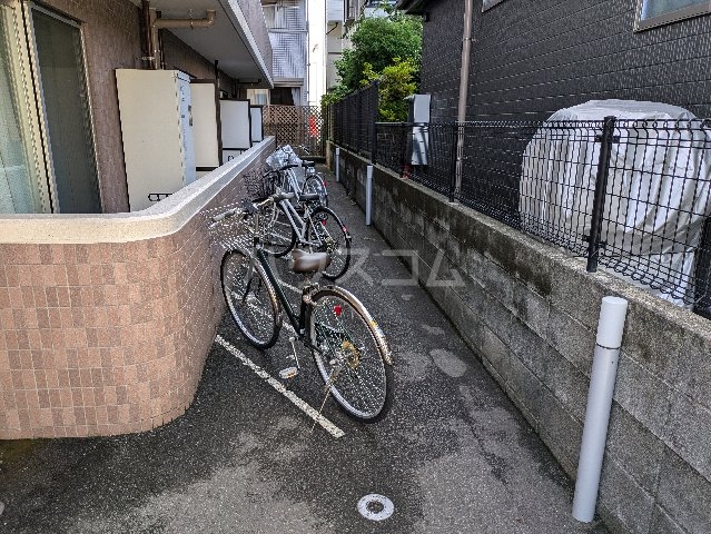 20/30 その他画像