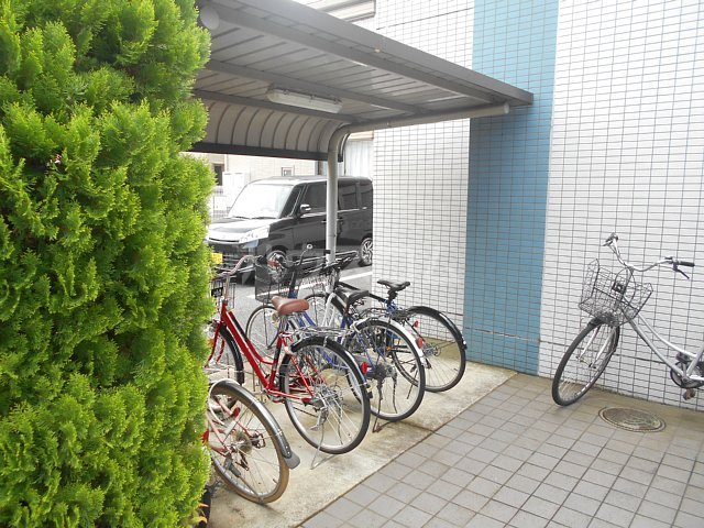 20/30 その他画像