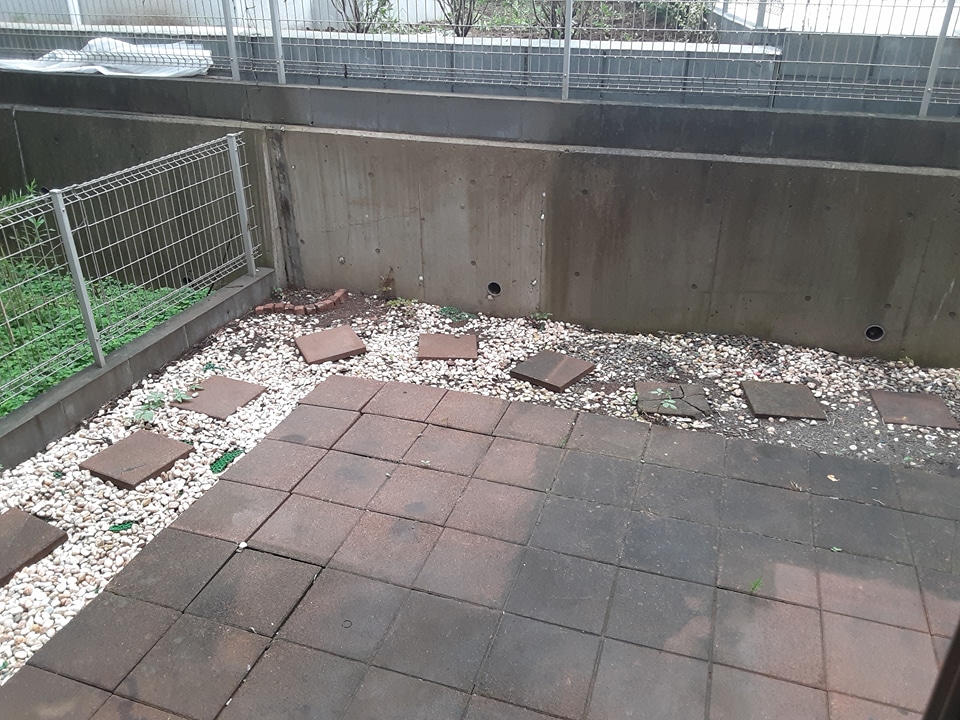 21/22 その他画像