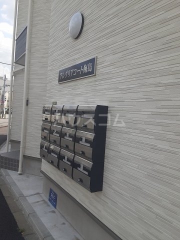 15/19 その他画像