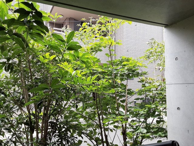 16/27 その他画像