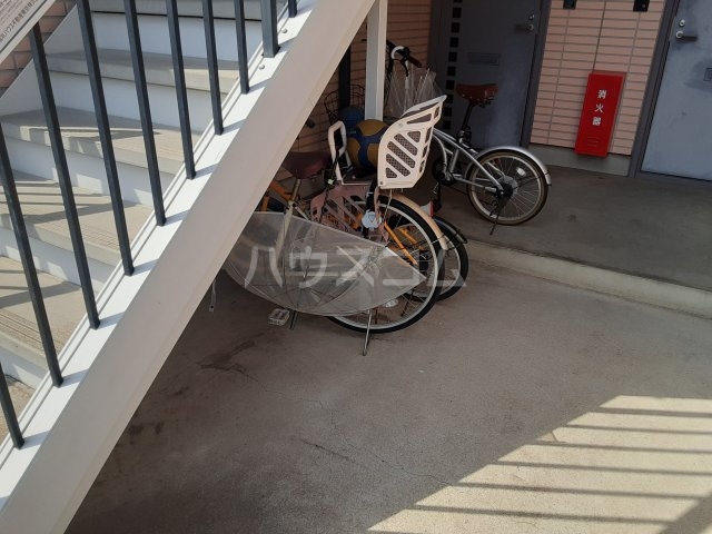 20/30 その他画像