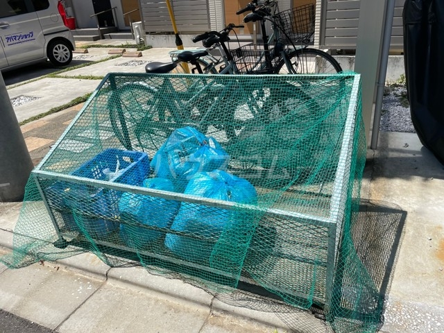 15/29 その他画像