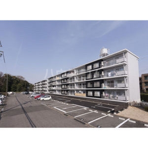 13/22 その他画像