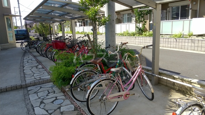 17/21 その他画像