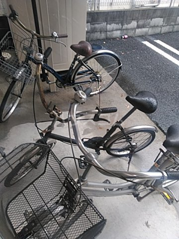 20/30 その他画像