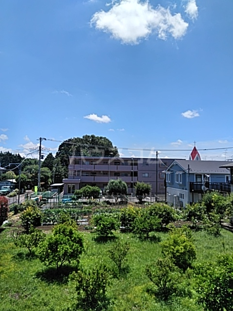 21/30 その他画像