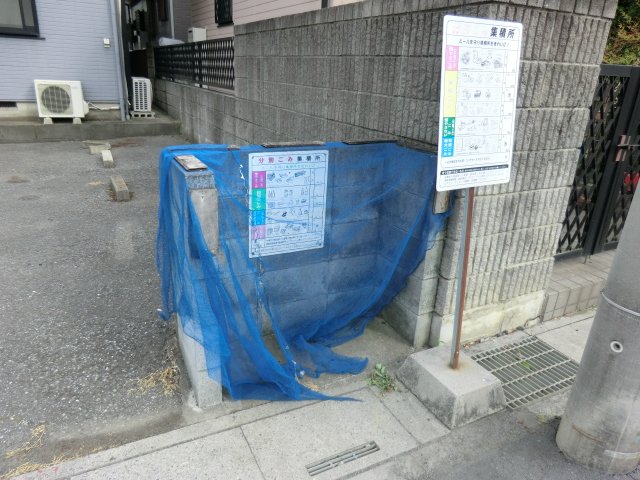 20/30 その他画像