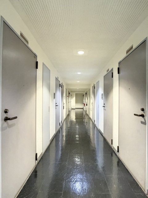 12/26 その他画像