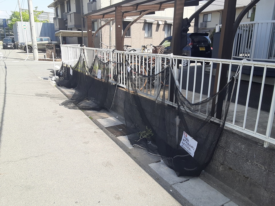 19/29 その他画像