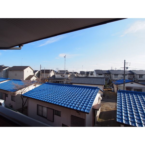 11/16 その他画像