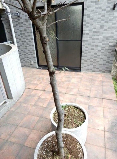 28/30 エントランス