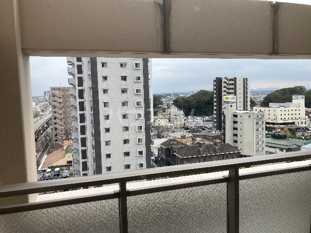 15/29 その他画像