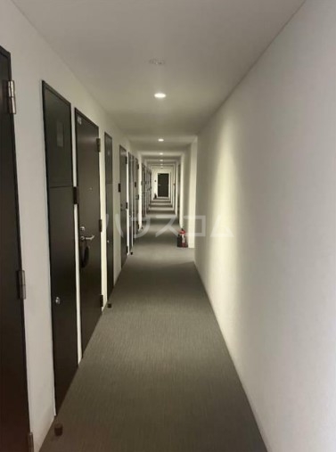 11/13 その他画像