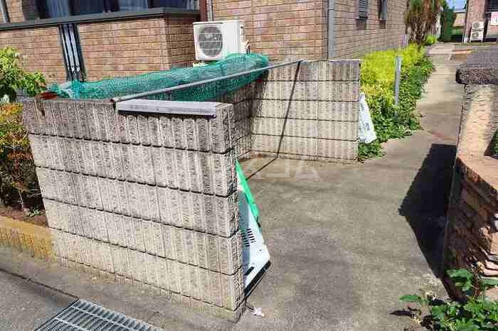 6/11 その他画像