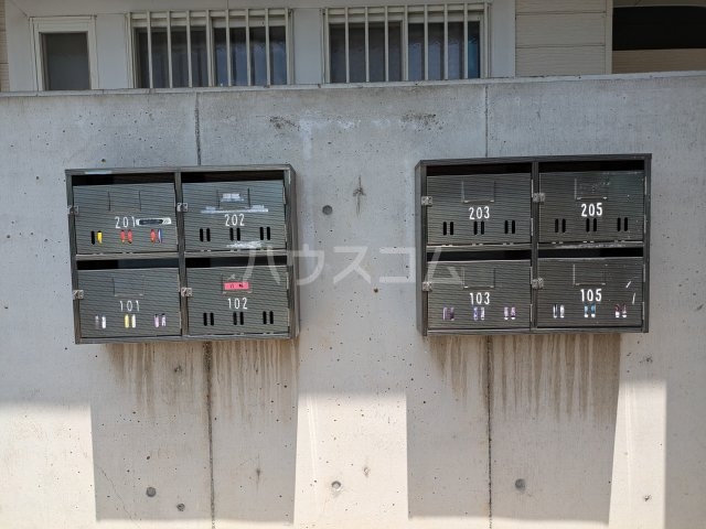 20/30 その他画像