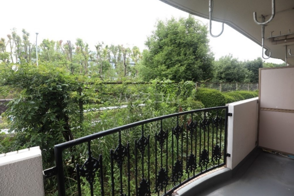 14/21 その他画像