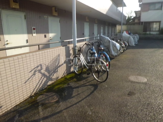 20/30 その他画像