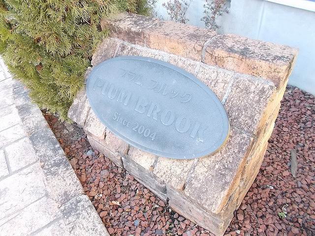 19/29 その他画像