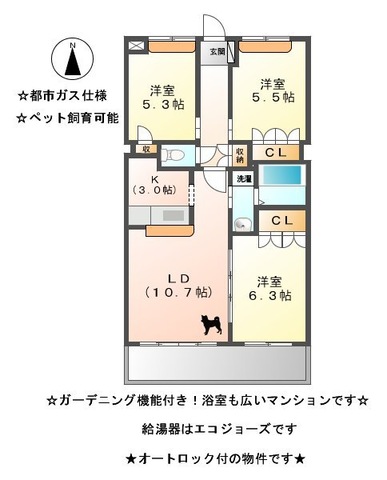 グレイスC.K Ⅱの間取り