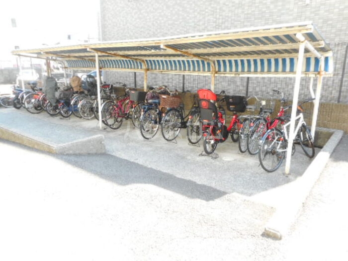 6/17 その他画像